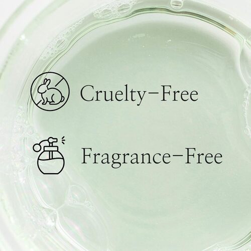 Green Plum Refreshing Toner: AHA + BHA