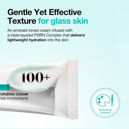 PDRN Hyaluronic Acid 100 Moisture Cream