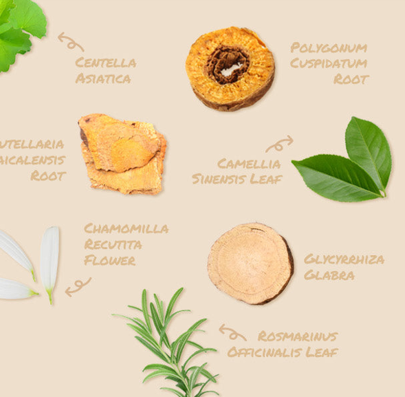 Milk Skin Toner Light